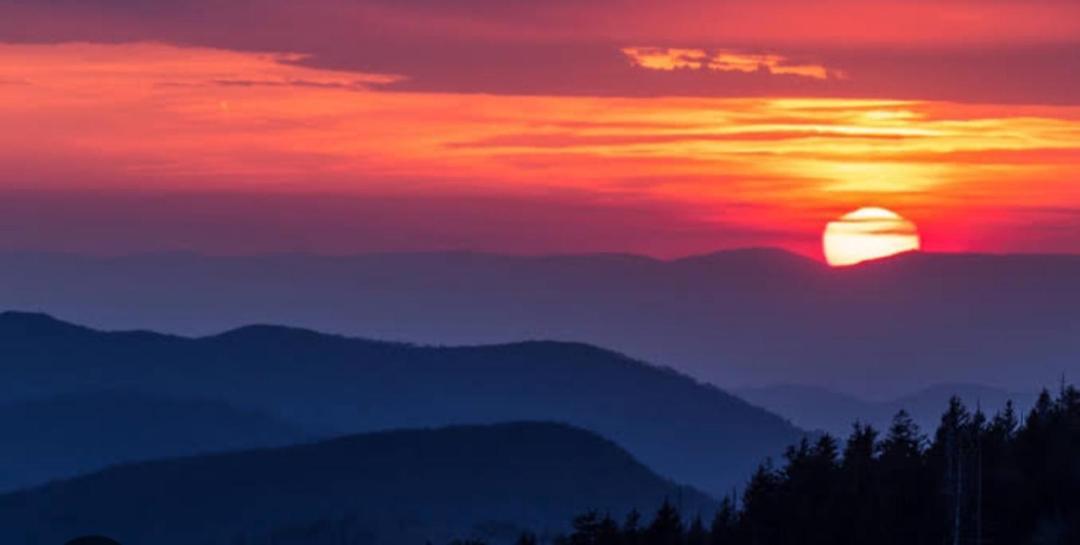 The Sunset Nest Offbeat Homestay Дарджилінг Екстер'єр фото